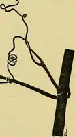 An illustration from The teaching of drawing : its aims and methods (1910)