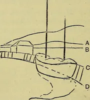 An illustration from The teaching of drawing : its aims and methods (1910)