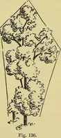 An illustration from The teaching of drawing : its aims and methods (1910)