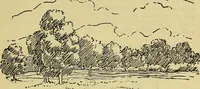 An illustration from The teaching of drawing : its aims and methods (1910)