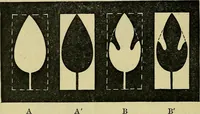 An illustration from The teaching of drawing : its aims and methods (1910)