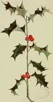 An illustration from The teaching of drawing : its aims and methods (1910)