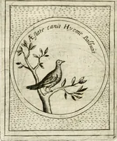 An illustration from Teatro d'imprese (1623)