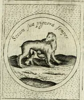 An illustration from Teatro d'imprese (1623)