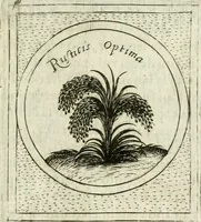 Picture 538 of 765 from Teatro d'imprese (1623), leaf 1002