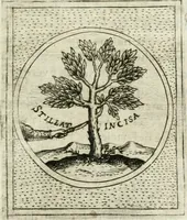 An illustration from Teatro d'imprese (1623)