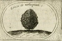 Picture 543 of 765 from Teatro d'imprese (1623), leaf 1007