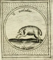 Picture 547 of 765 from Teatro d'imprese (1623), leaf 1014