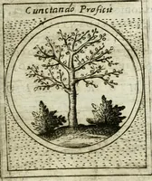 An illustration from Teatro d'imprese (1623)