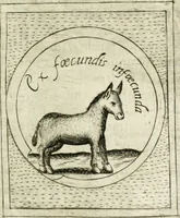 An illustration from Teatro d'imprese (1623)