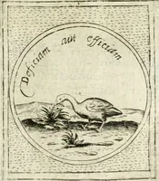 An illustration from Teatro d'imprese (1623)