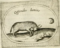 Picture 580 of 765 from Teatro d'imprese (1623), leaf 1045