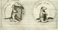 An illustration from Teatro d'imprese (1623)