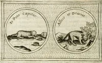 Picture 590 of 765 from Teatro d'imprese (1623), leaf 1057
