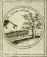 An illustration from Teatro d'imprese (1623)