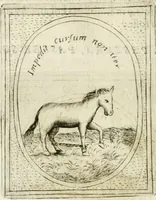 Picture 594 of 765 from Teatro d'imprese (1623), leaf 1061