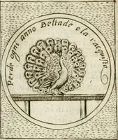 An illustration from Teatro d'imprese (1623)