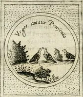 An illustration from Teatro d'imprese (1623)