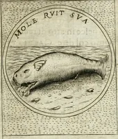 An illustration from Teatro d'imprese (1623)
