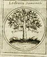 An illustration from Teatro d'imprese (1623)