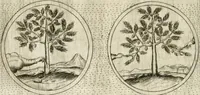 An illustration from Teatro d'imprese (1623)