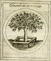 An illustration from Teatro d'imprese (1623)