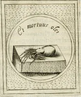 An illustration from Teatro d'imprese (1623)