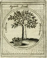 An illustration from Teatro d'imprese (1623)