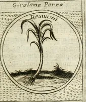 An illustration from Teatro d'imprese (1623)