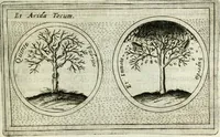 An illustration from Teatro d'imprese (1623)