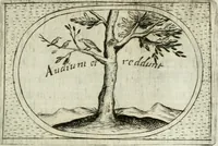 An illustration from Teatro d'imprese (1623)