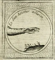 An illustration from Teatro d'imprese (1623)