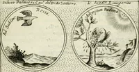 An illustration from Teatro d'imprese (1623)