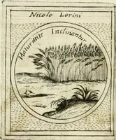 An illustration from Teatro d'imprese (1623)