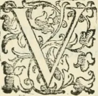 An illustration from Teatro d'imprese (1623)