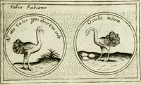 An illustration from Teatro d'imprese (1623)