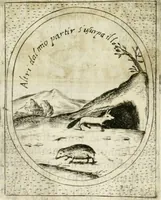 An illustration from Teatro d'imprese (1623)