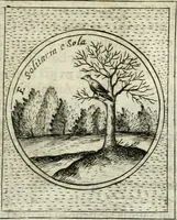 An illustration from Teatro d'imprese (1623)