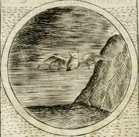 An illustration from Teatro d'imprese (1623)