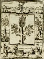 An illustration from Teatro d'imprese (1623)