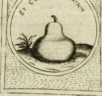 An illustration from Teatro d'imprese (1623)