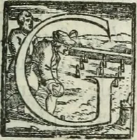 An illustration from Teatro d'imprese (1623)