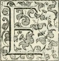 An illustration from Teatro d'imprese (1623)