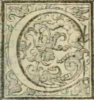 An illustration from Teatro d'imprese (1623)