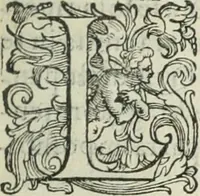 Picture 52 of 765 from Teatro d'imprese (1623), leaf 518