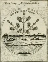 Picture 73 of 765 from Teatro d'imprese (1623), leaf 547