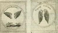 Picture 74 of 765 from Teatro d'imprese (1623), leaf 549