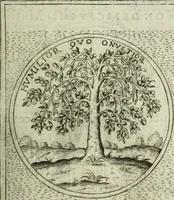 An illustration from Teatro d'imprese (1623)