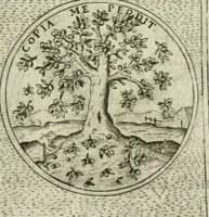 An illustration from Teatro d'imprese (1623)