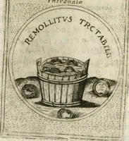 Picture 79 of 765 from Teatro d'imprese (1623), leaf 559